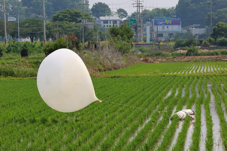 corea.jpg