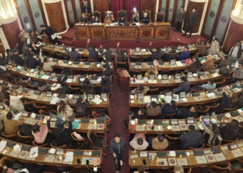 diputados_primarias.jpg