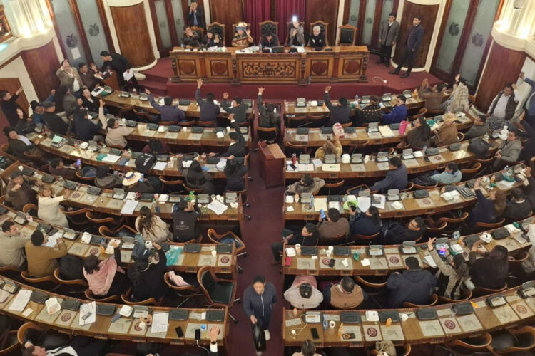 diputados_primarias.jpg