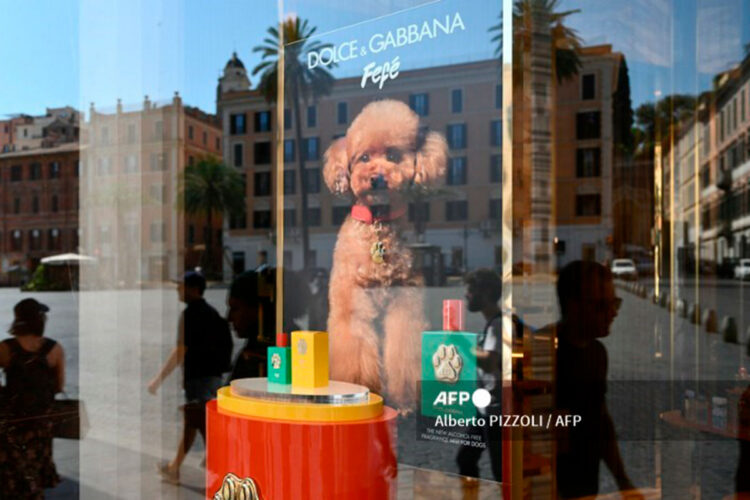 dolce_perros.jpg