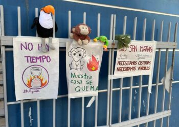 Activistas ambientalistas protestaron en puertas del Ministerio de Medio Ambiente. debido a los incendios forestales.