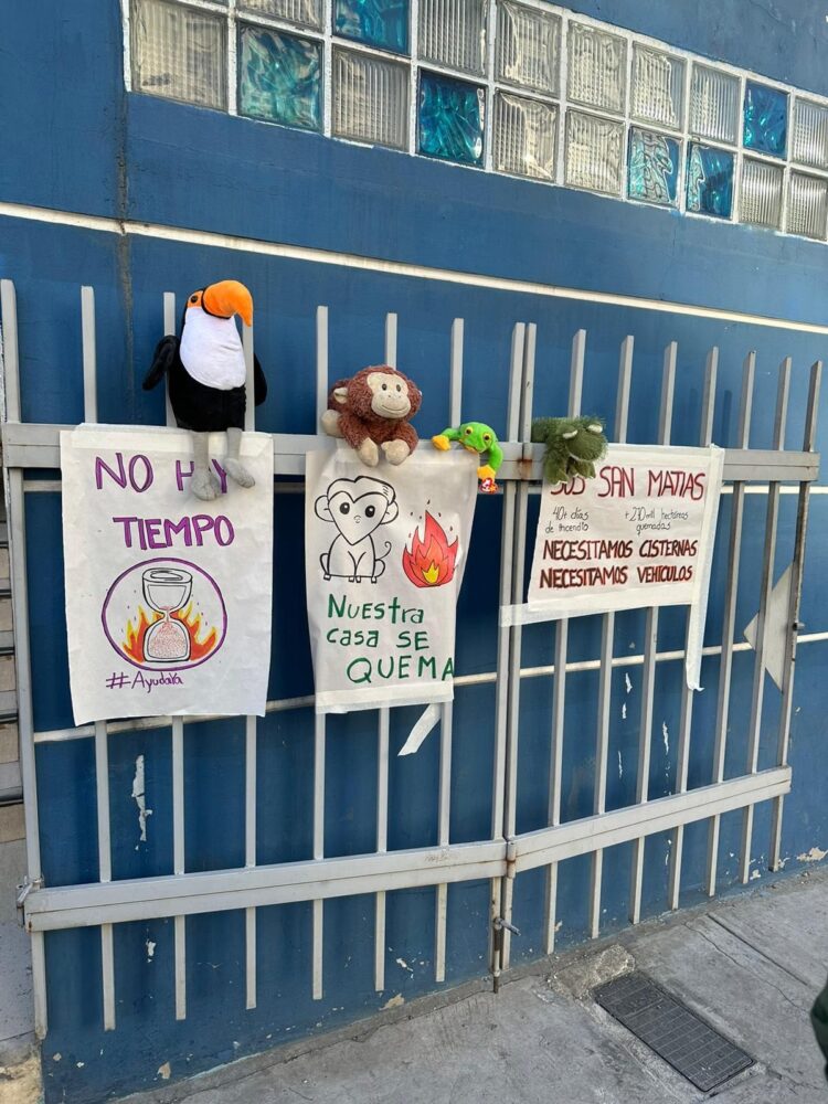 Activistas ambientalistas protestaron en puertas del Ministerio de Medio Ambiente. debido a los incendios forestales.