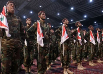 Hezbolá
