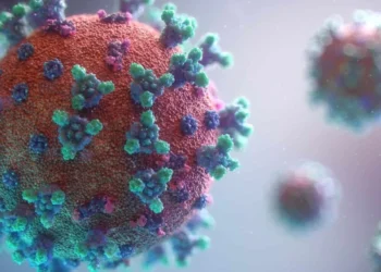 Paciente muere en EEUU tras contraer el raro virus de la encefalitis equina oriental