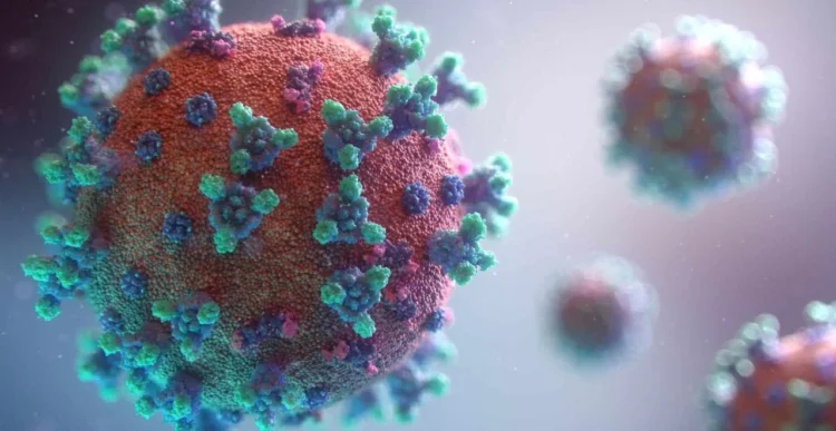 Paciente muere en EEUU tras contraer el raro virus de la encefalitis equina oriental