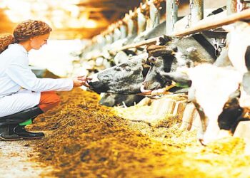 La ganadería y la agricultura en general son las que mejor se vienen desempeñando este año.