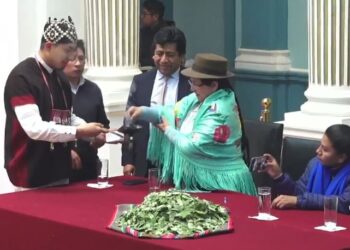 Gobierno insiste en la eliminación de la hoja de coca de lista de estupefacientes de la OMS