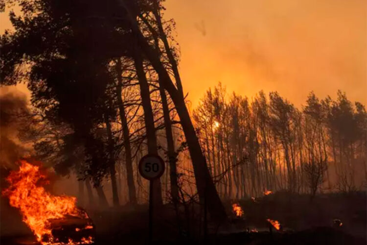 incendios_atenas.jpg