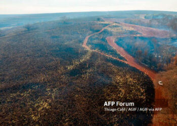 incendios_brasil.jpg