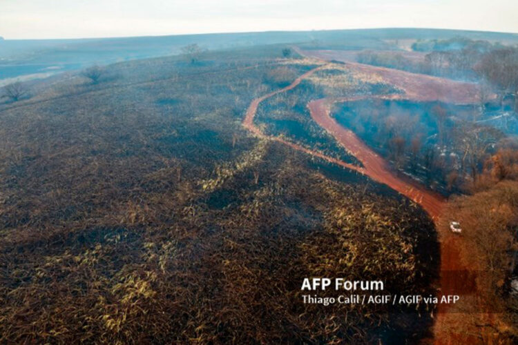 incendios_brasil.jpg
