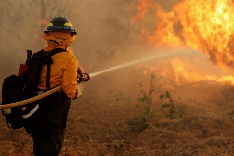incendios_robore.jpg