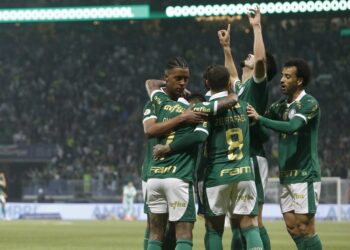 Botafogo, Palmeiras y Flamengo no fallan y siguen liderando el Brasileirao