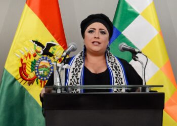 Ministra Prada afirma que nunca existió democracia interna en el MAS