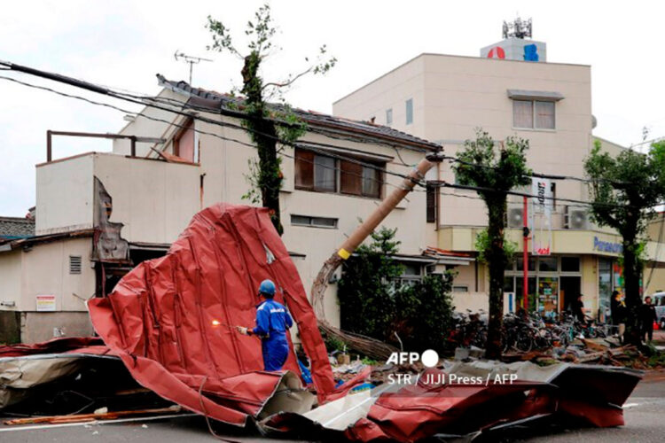 shanshan.jpg