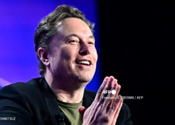 Alemania acusa a Elon Musk de tratar de influir en sus elecciones
