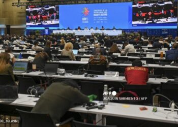 La última plenaria del COP16 fue agotadora
