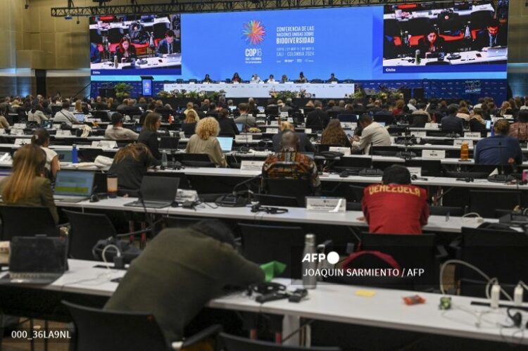 La última plenaria del COP16 fue agotadora