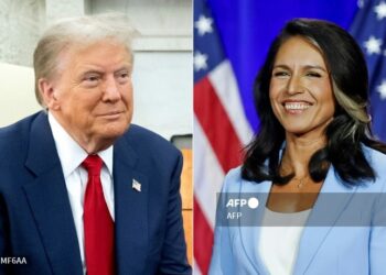 Cuestionan el nombramiento de Tulsi Gabbard