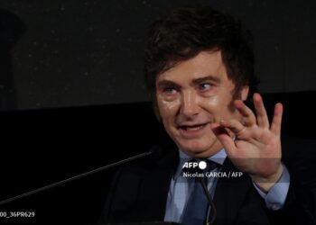 Javier Milei, un año en el poder