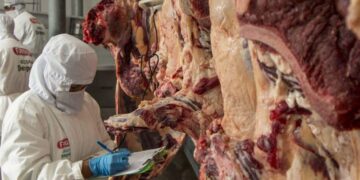 carne