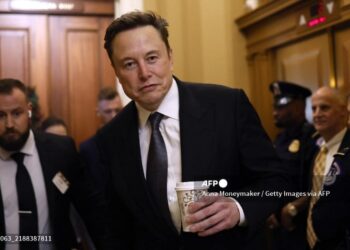 Musk fue clave para la victoria de Trump