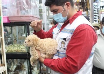 Nueve casos de rabia canina se registraron este año en la ciudad de Cochabamba.