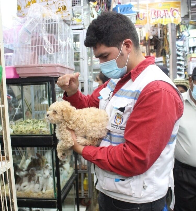 Nueve casos de rabia canina se registraron este año en la ciudad de Cochabamba.