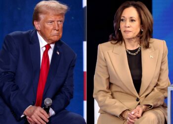Trump y Harris en la recta final de sus campañas