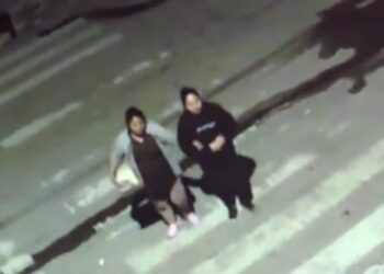 Las biocidas fueron captadas por las cámaras se seguridad cuando les daban veneno a los perros.