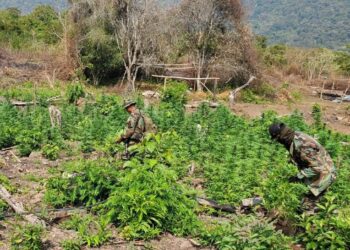 Tres colombianos son sentenciados a 24 años de cárcel por el tráfico de 6 toneladas de marihuana