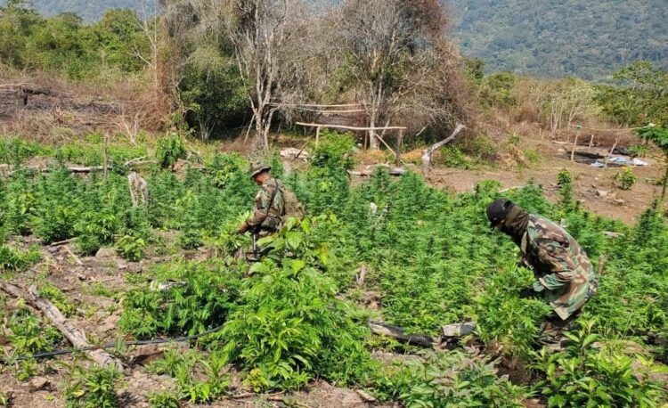 Tres colombianos son sentenciados a 24 años de cárcel por el tráfico de 6 toneladas de marihuana