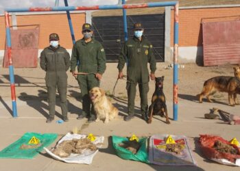 En un operativo de la Policía y la Fiscalía hallan siete perros muertos enterrados en tres fosas en el albergue municipal Angelino de Oruro.