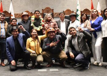 El evismo niega que haya ‘corrido’ Bs 30.000 para la reelección a Andrónico en el Senado