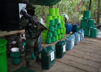 FELCN destruyó 88 laboratorios de producción de droga en lo que va del año