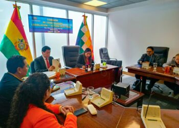 Diputada Guachalla: Nuestra prioridad es tratar la ley complementaria para las judiciales