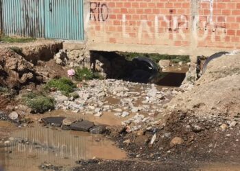 La columnas presentan daños por el caudal del río