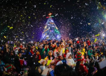 El presidente Luis Arce encendió las luces del árbol de Navidad.