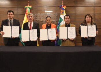 Legisladores cuestionan designación de vocales electorales departamentales interinos