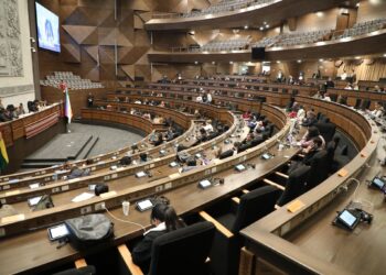 Choquehuanca convoca a sesión para conformar la comisión que trabajará en el receso legislativo