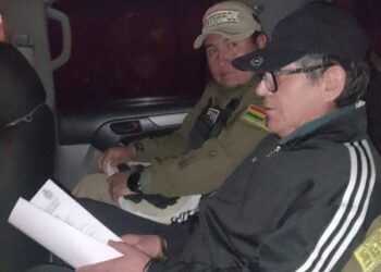 Del Castillo: Los únicos que vinculan a Dávila con Evo Morales son los evistas