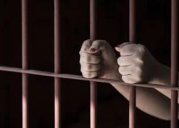 La mujer fue recluida en la cárcel de San Sebastián
