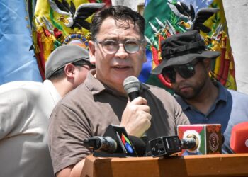 El Viceministro dio detalles del caso