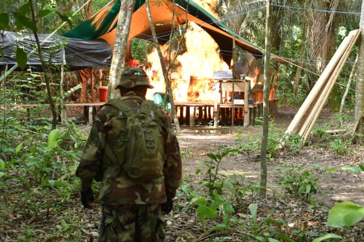 Umopar incinera megalaboratorio de cocaína valuado en más de $us 250.000 en Santa Cruz