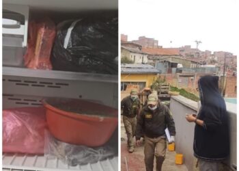Pofoma interviene una casa donde halló gatos muertos en una nevera.