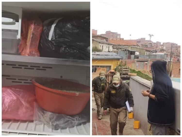 Pofoma interviene una casa donde halló gatos muertos en una nevera.