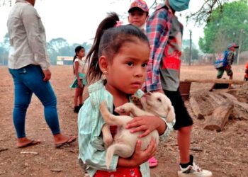 Salud aclara que alcaldías son responsables de declarar alerta ante la contaminación