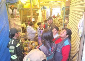 Decenas de animales eran comercializados en condiciones inhumanas.