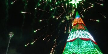 ¿Dónde estará el árbol navideño más alto de Bolivia? Ya pronto lo instalan
