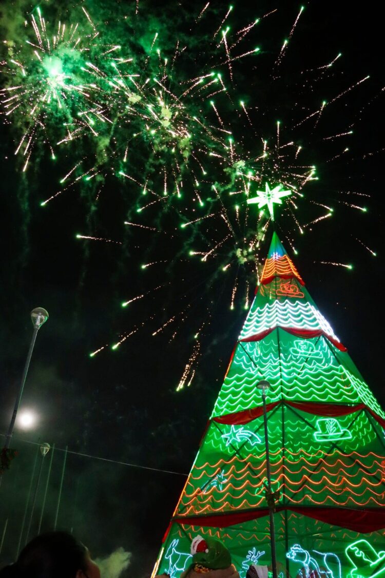 ¿Dónde estará el árbol navideño más alto de Bolivia? Ya pronto lo instalan