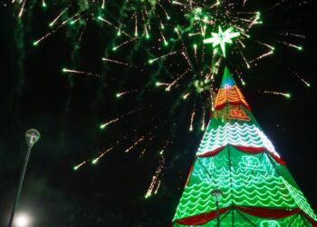 El árbol navideño será instalado en el edificio municipal Jach'a Uta. Foto: GAMEA.